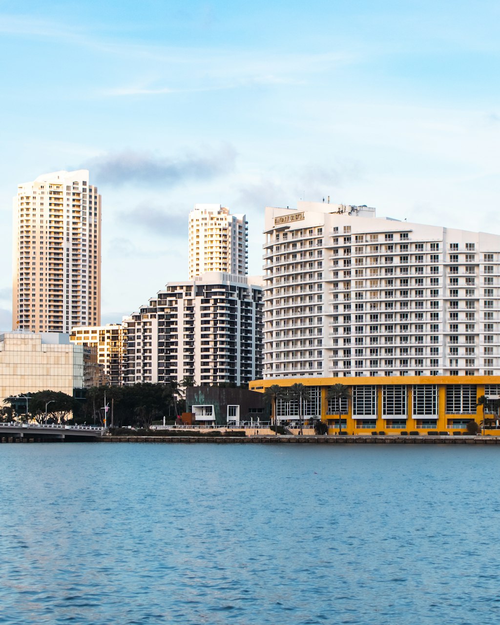 Downtown Miami apartments